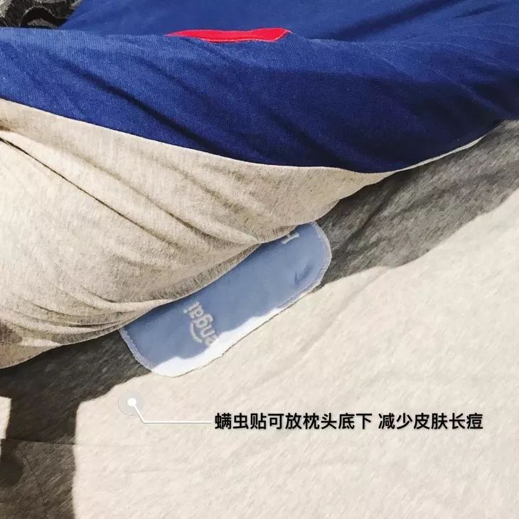 160万只螨虫的克星,4000多条螨虫