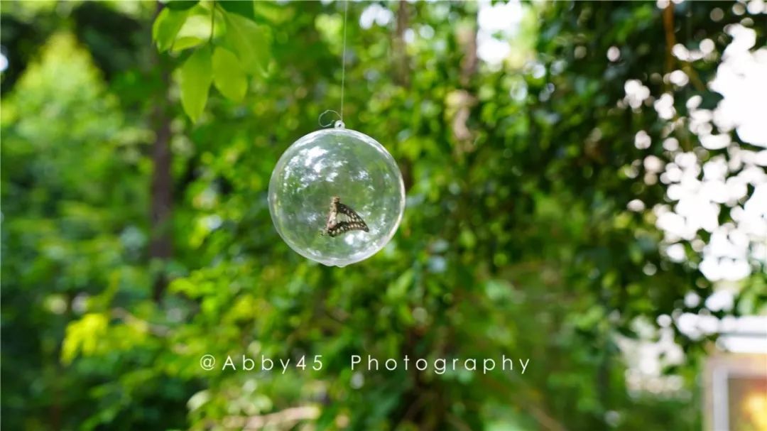 厦门这是个什么神仙酒店,不仅有金砖国宴佛跳墙,还有7万平森林