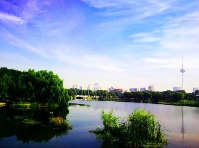 辽宁台安县溺水事件原因,台安6名中学生溺水身亡