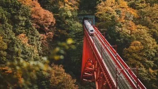 上海赏枫小众景点,小众赏枫