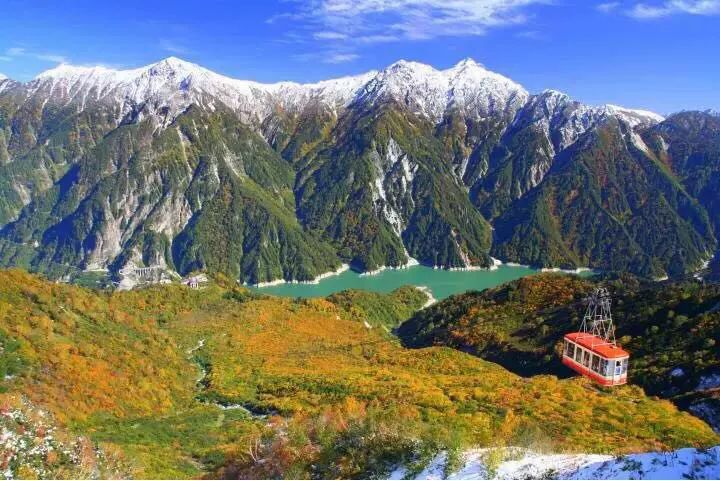 上海赏枫小众景点,小众赏枫