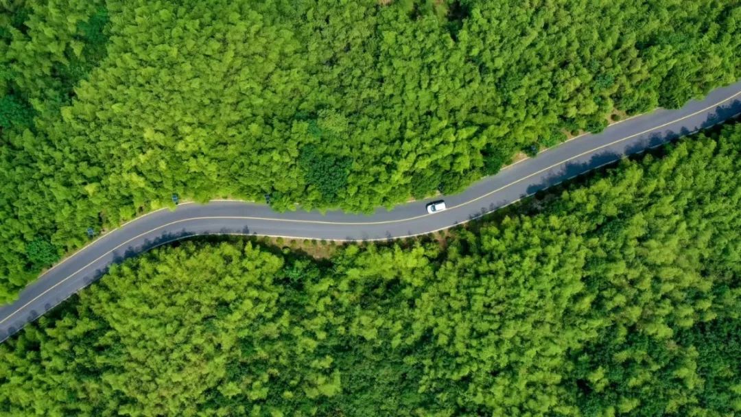 天呐！被南京这些路圈粉！