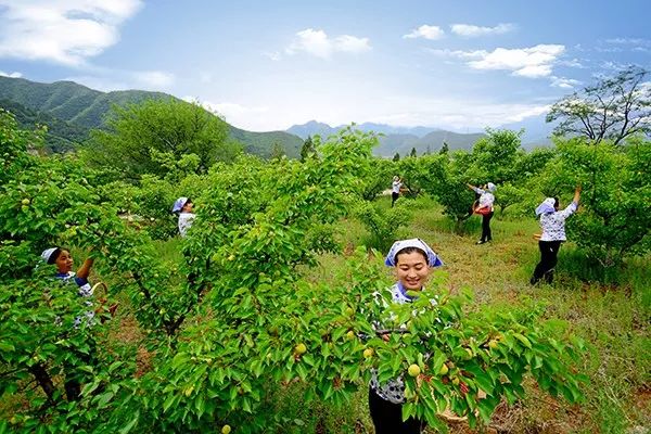 中国那些美丽到醉人的乡村,乡村旅游有哪些特色村庄