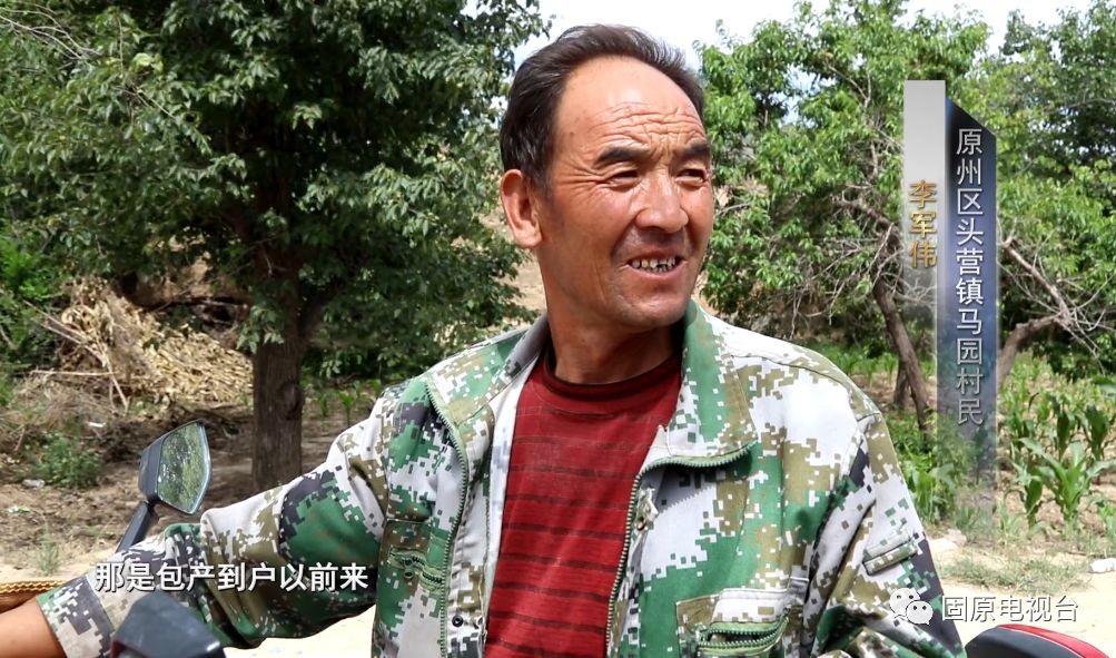 红梅杏的产地在哪里,红梅杏名字的由来