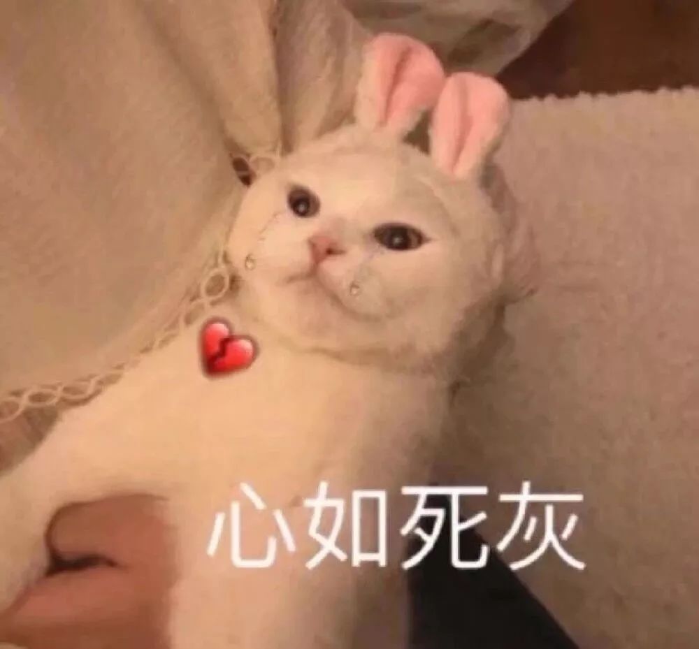 日本“吸油圣斗士”,1天1条,7天瘦出小蛮腰!酸酸甜甜,比果冻还好吃