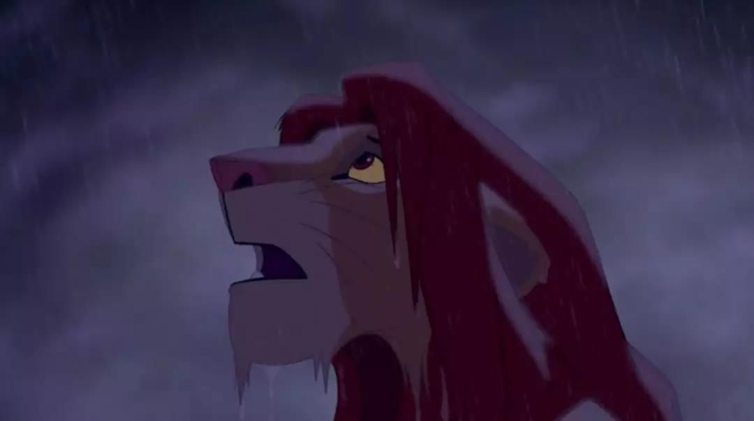 现实版狮子王比想象的更残酷,狮子王真狮版狮王之死