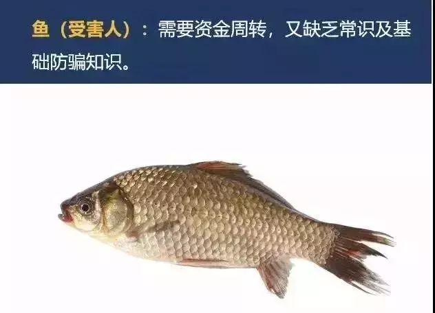 防电诈被骗前的样子,防电诈知识测试