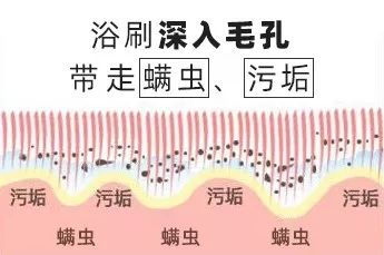 团购|搓背再也不求人！风靡日本的弧形浴刷，轻轻一搓10年污垢刷出来
