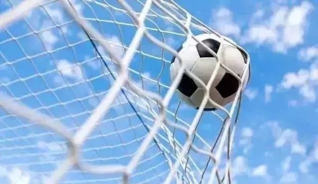 阜阳被清华北大录取的学校,阜阳新批的学校