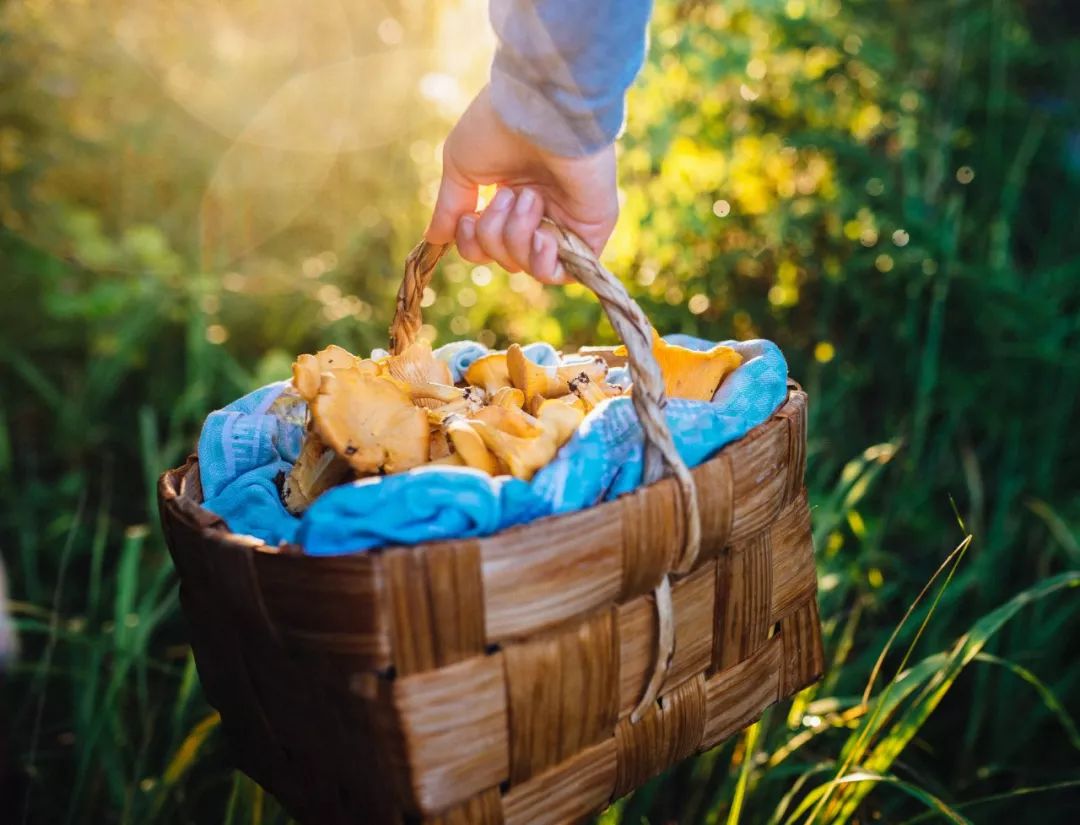 好玩的湖区,湖镇好吃的地方