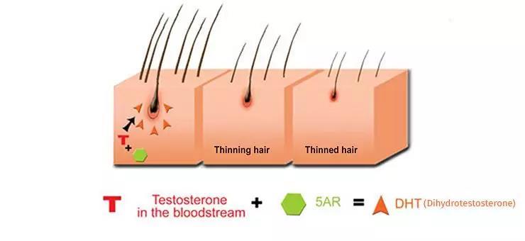 4招让孩子长到1米8,4岁小孩长胡须