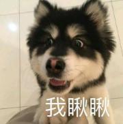 美丽加芬遮瑕霜,臻颜遮瑕保养霜