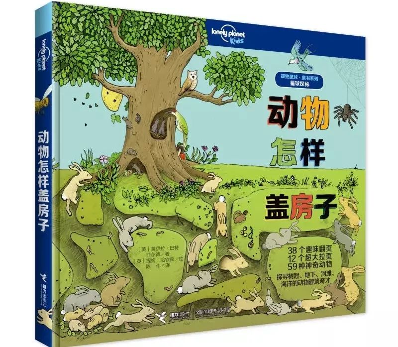 推荐最全儿童绘本书单,绘本阅读每日书单图片