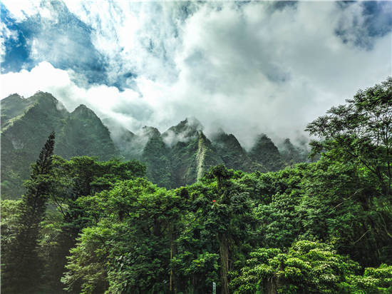 头皮发痒头屑多是怎么回事怎么办,头皮发痒没有头屑只有一块地方痒