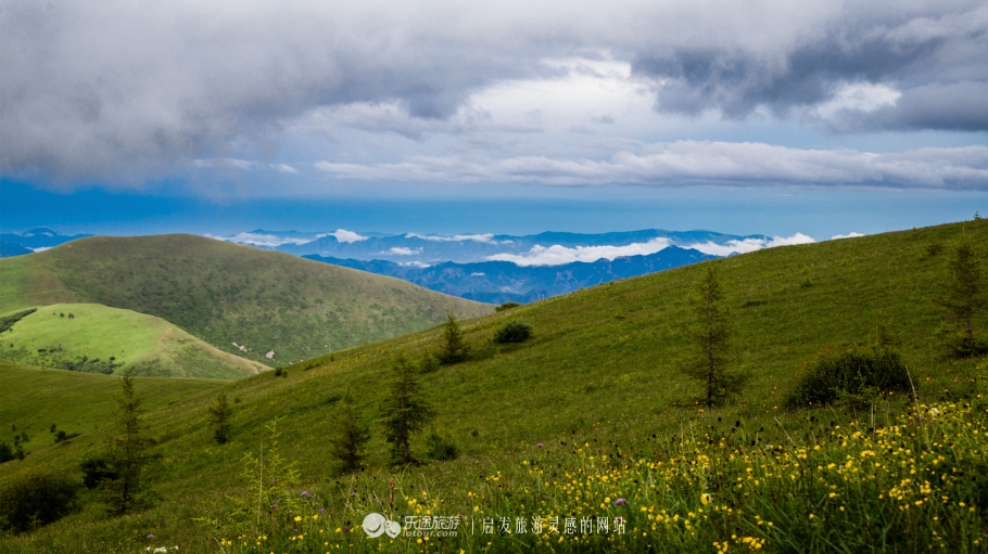 这个夏天来塞罕坝看看吧,坝上草原森林
