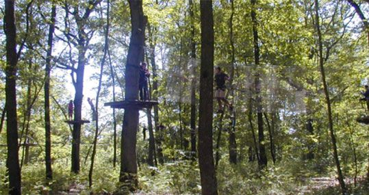 鏍戦《鎺㈤櫓鍏洯娓哥帺,鏍戦《鎺㈤櫓鍏洯娓哥帺鏀荤暐