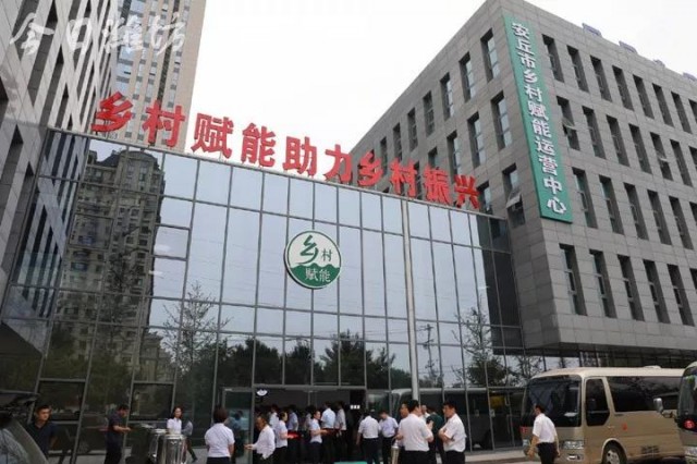 乡村振兴双百典型示范工程,乡村振兴项目四个一批