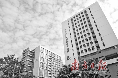 佛山市人力资源产业园,广州市人力资源行业发展动向