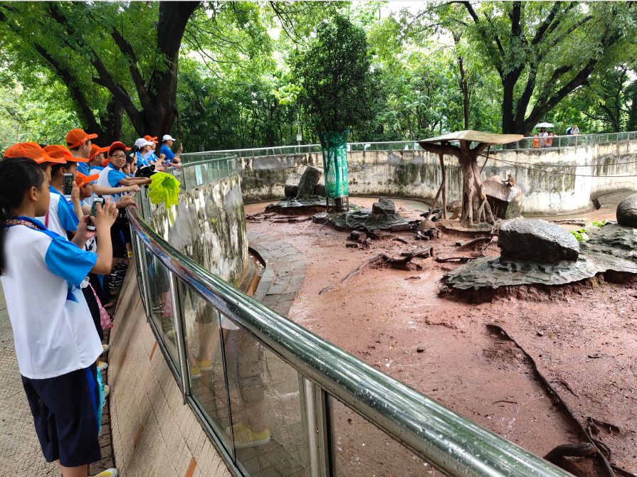 这个暑假不一样初二,这个暑假不一般读书感想