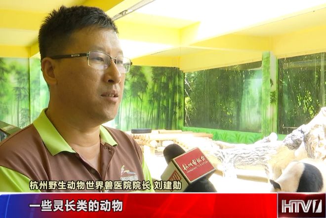 娴锋磱鍔ㄧ墿閬挎殤绂忓埄,鍔ㄧ墿閬挎殤楂樻俯绂忓埄