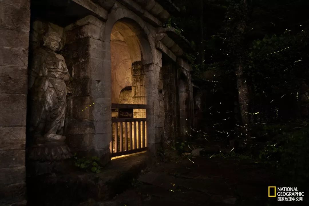 南京紫金山灵谷寺萤火虫,南京灵谷寺哪里可以看到萤火虫