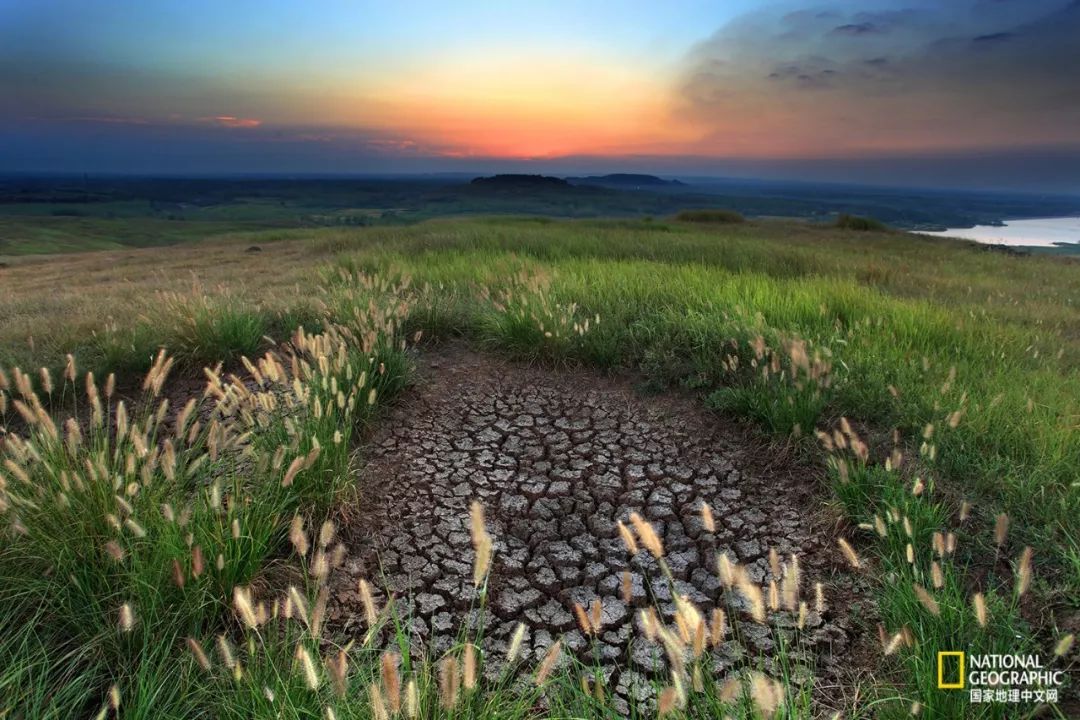 南京紫金山灵谷寺萤火虫,南京灵谷寺哪里可以看到萤火虫