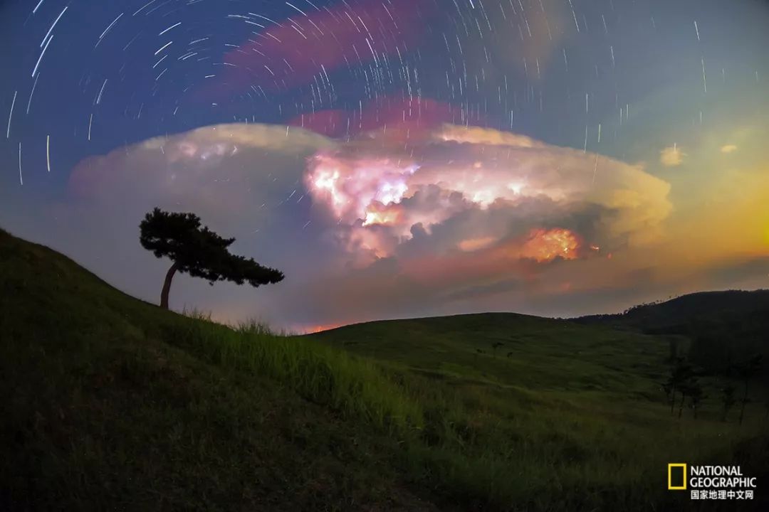 南京紫金山灵谷寺萤火虫,南京灵谷寺哪里可以看到萤火虫