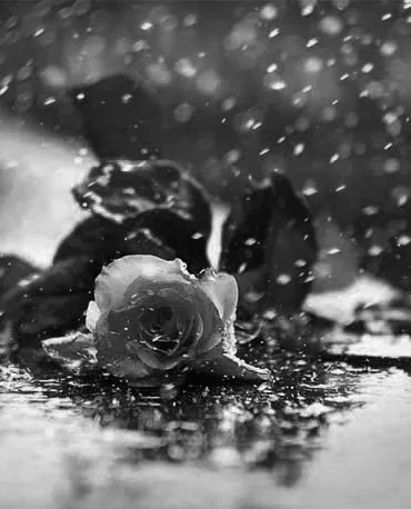 50首老歌精选每首都是当年的记忆,20首经典怀旧老歌连唱