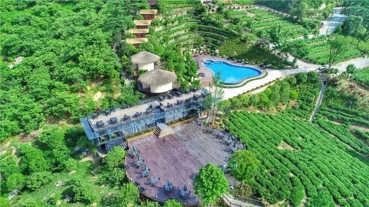 全球最受欢迎树屋酒店｜夜晚坠入大自然的梦乡，清晨在森林的枝桠间醒来