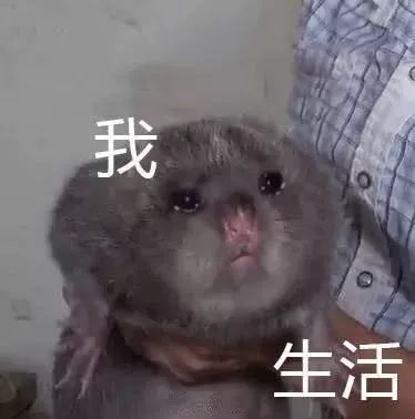 灯！等灯等灯......|正经玩