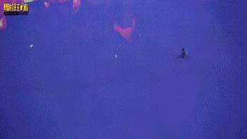 夏日花式玩法！极致视觉体验+五星级海鲜大餐，99元潮玩一整天