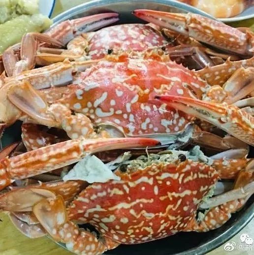 湛江有没有好景点,湛江有没有什么景点