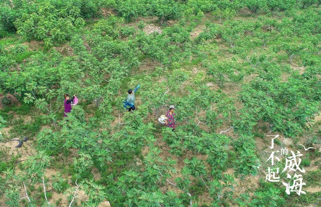 浜嗕笉璧风殑濞佹捣,浜嗕笉璧风殑濞佹捣浠婃棩澶存潯