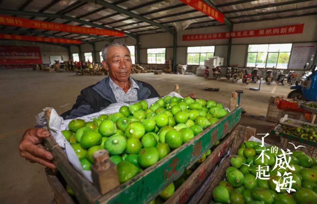 浜嗕笉璧风殑濞佹捣,浜嗕笉璧风殑濞佹捣浠婃棩澶存潯