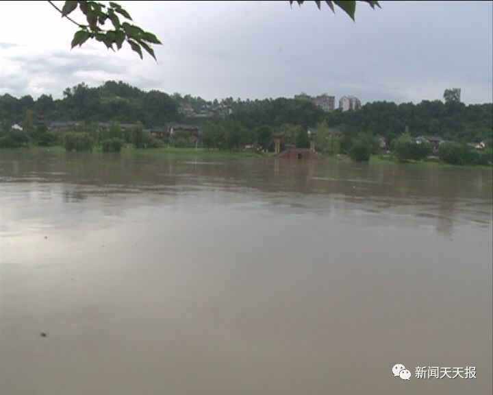 盘点细思极恐的虫子,盘点你不知道的虫子