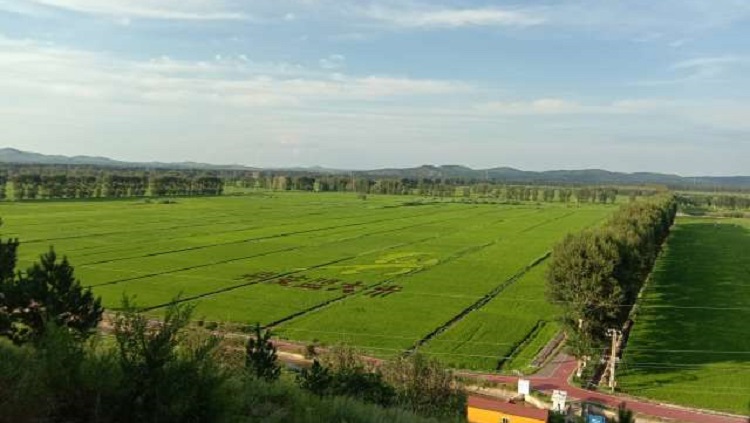 鍏氬缓寮曢鐢靛晢鍔╁啘,鍏氬缓鐢靛晢鍔╁姏鍙屽粖鑴辫传鏀诲潥