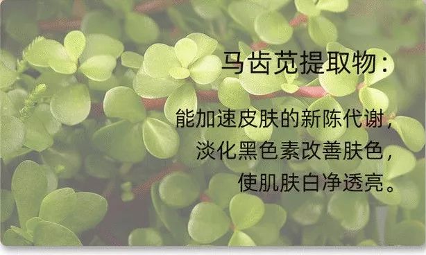 鸡蛋清除黑头,快速物理去黑头