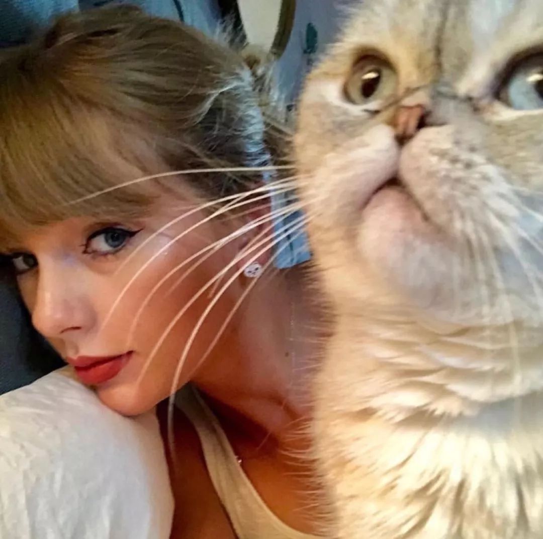 乐坛大佬组团关门“搞副业”，小清新入职报道狂减40斤？