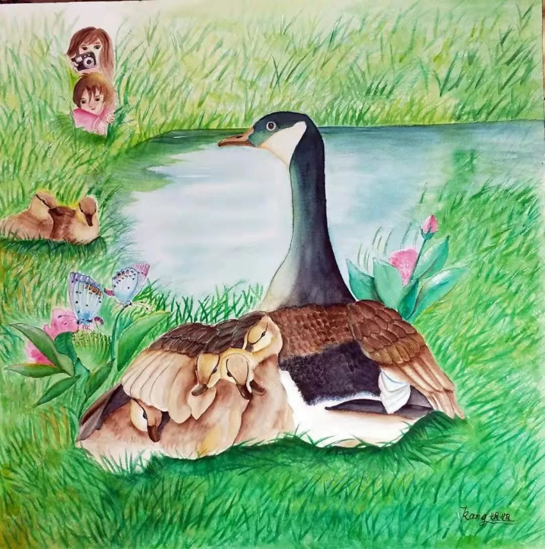 壕妈康姐姐分享｜如何画好商画？