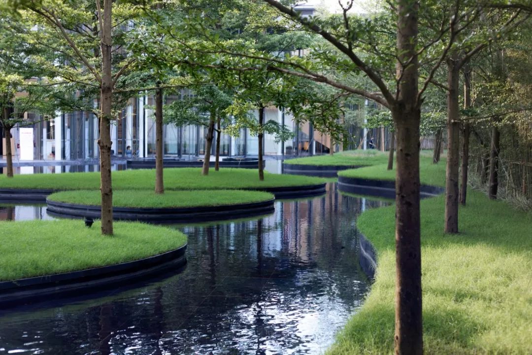 石语慕松林，水苑倾闻荫|广州保利·花城纪