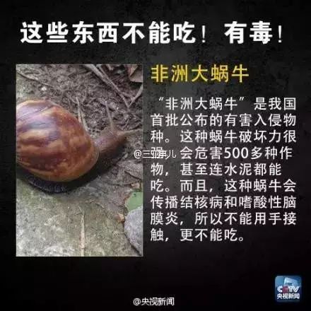 得了脑膜炎很可怕,最新疫情带来的脑膜炎