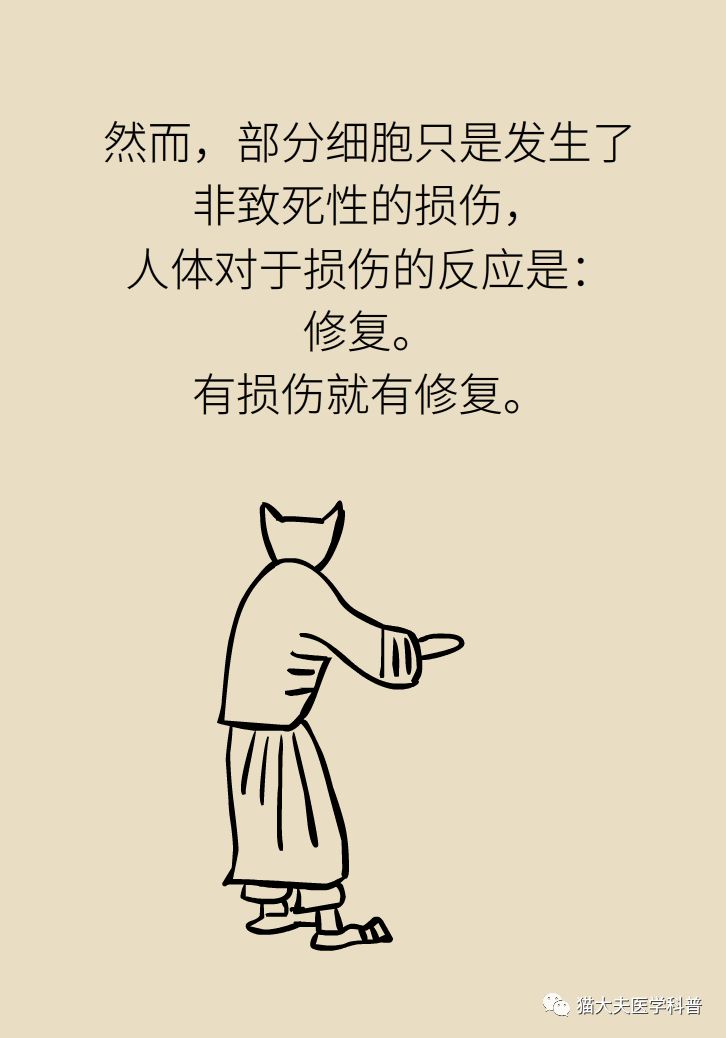 放疗和化疗的区别科普,放疗化疗相关知识