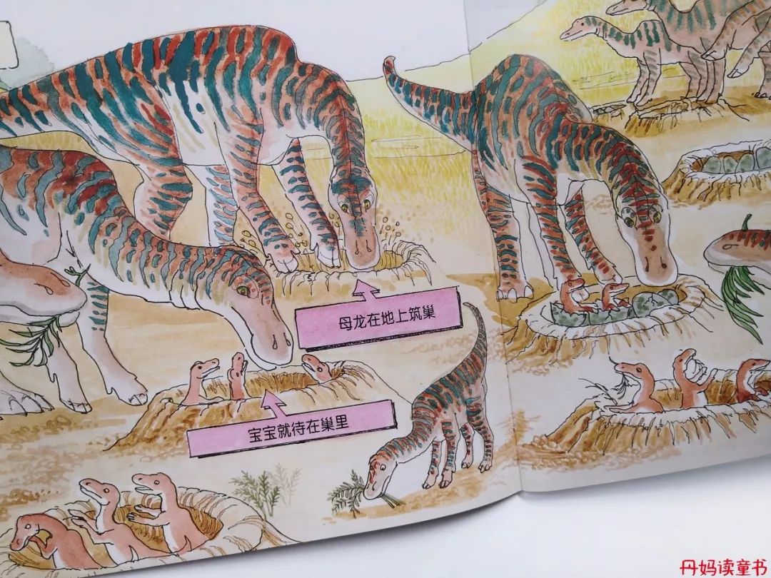 全球销量第一的书,全球十大销量书