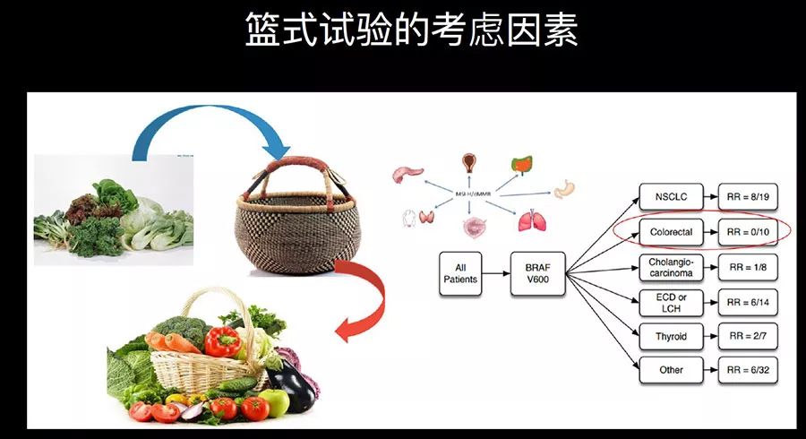 专家谈肿瘤新药,中国未来肿瘤药创新趋势