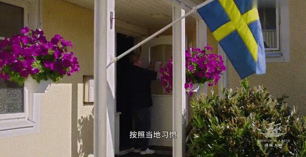 世界第一臭的食物,挑战世界最臭食物瑞典鲱鱼