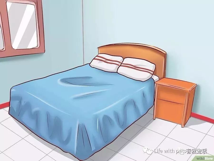 如何捕捉泥鳅,如何捕捉苍蝇