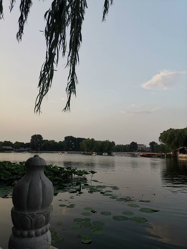 一家老小向前冲300集连续播放,一家老小向前冲共800集