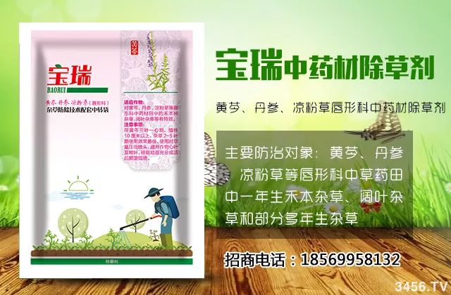 杂草影响作物收成的原因,荒地杂草除草剂效果不好怎么办