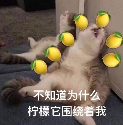 爱马仕游艇最新价格,爱马仕6万左右的游艇