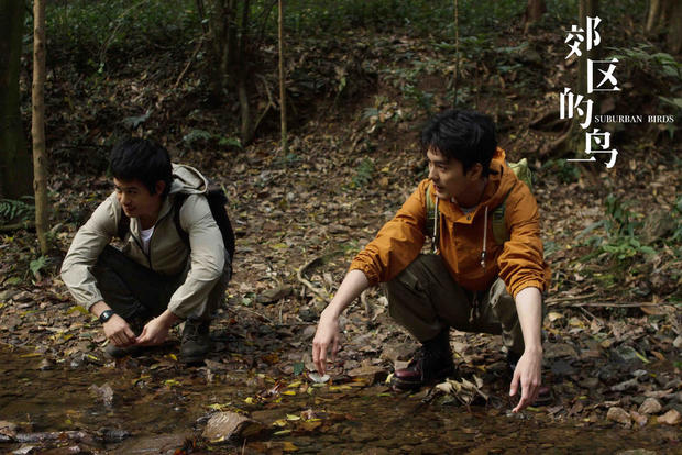 光头拯救世界,光头强逆转时光票房